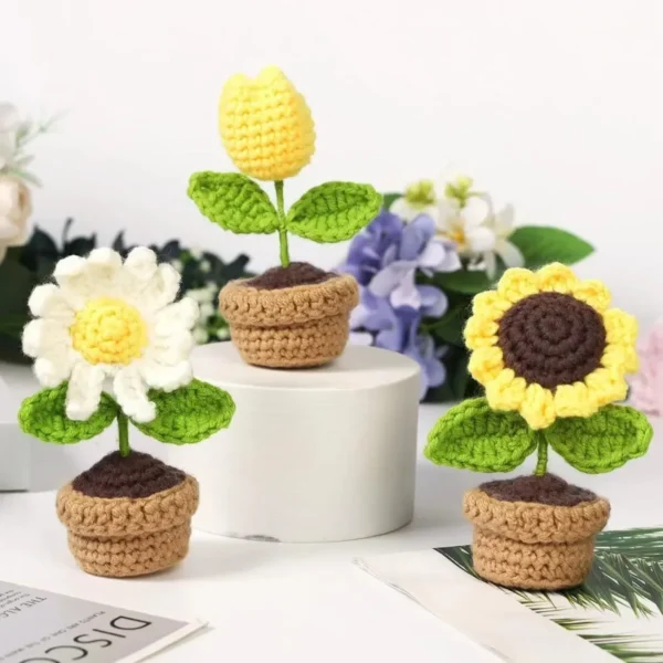 Crochet Kit for Beginners: Knitting, Tutorials - Image 3